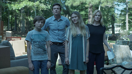 "Ozark" (2017- ) -- Ozark is a Netflix Original with three ten-episode seasons. The show follows a family trying to launder drug cartel money in the Ozarks in Missouri. There are very few morally good characters to root for, so you find yourself often rooting for the bad guys. The show strives in its constant controlled chaos where, just when you think the characters are figuring everything out, a huge wrench gets thrown into their plans. Rating: TV-MA; Created By: Bill Dubuque and Mark Williams; Starring: Jason Bateman, Laura Linney, Sofia Hublitz