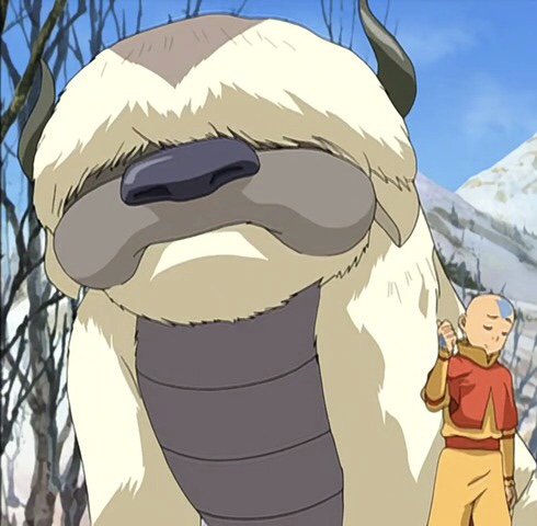 Aang with his pet Appa, as seen in the 2007 series.