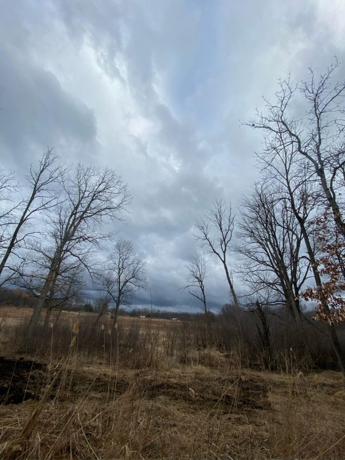 A rainy March day in the suburbs of Illinois as spring break rolls around the corner.