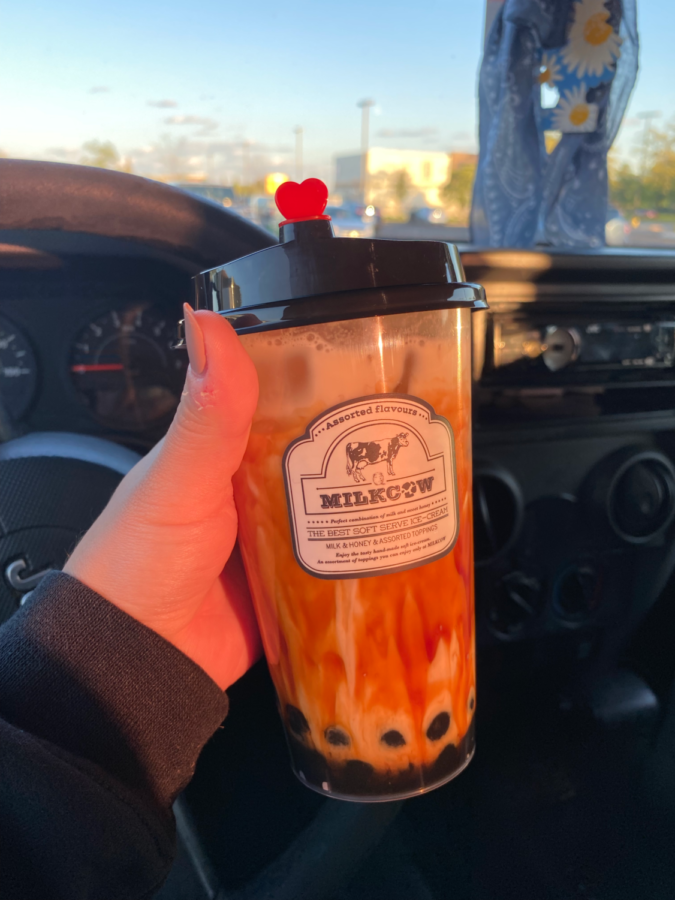 Milkcow’s brown sugar bubble milk tea.