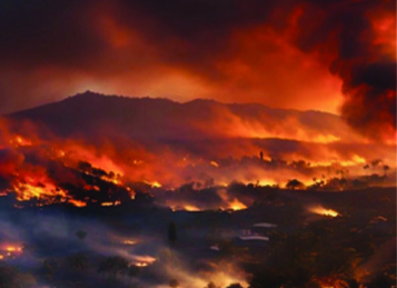 Wildfire in Maui 