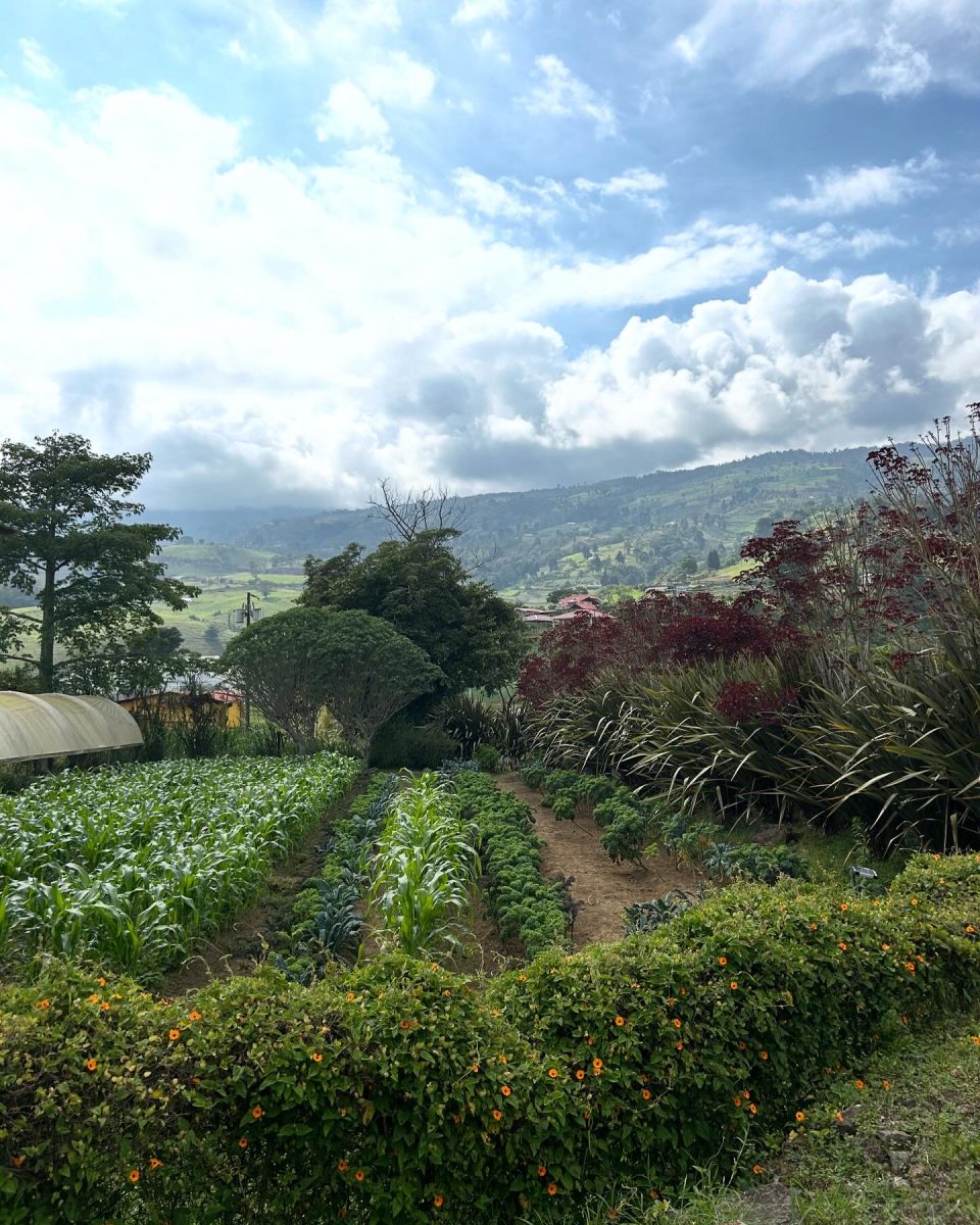 2024 Spring Break Trip: Global Class Takes on Costa Rica