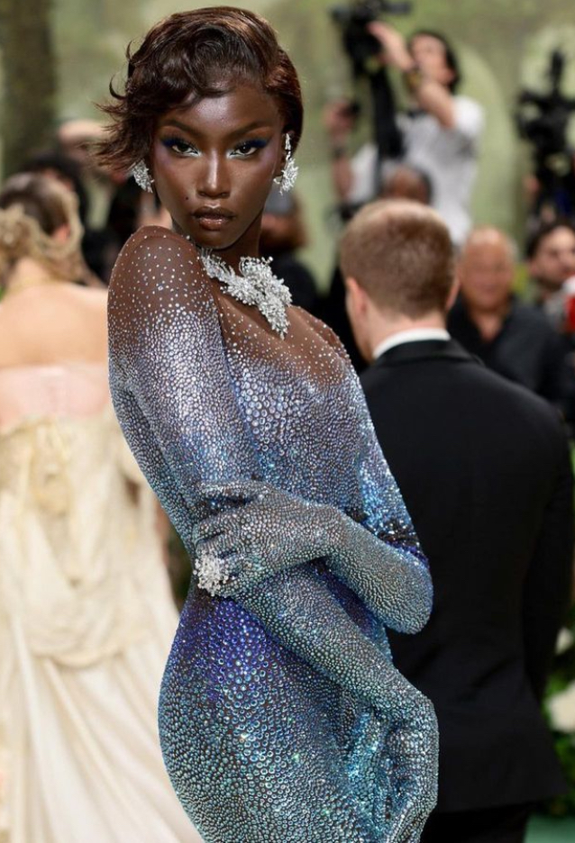 Met Gala 2024 The Spectator