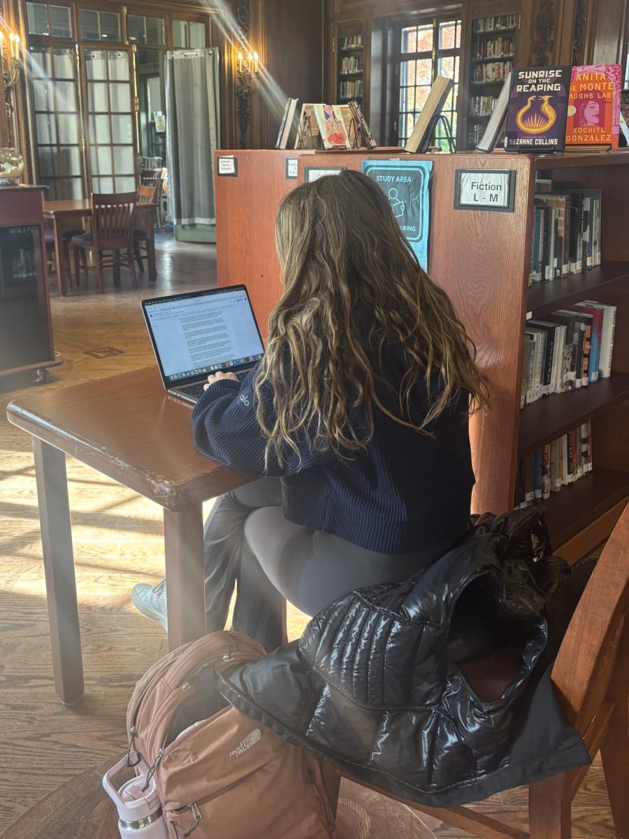 Zoe Wolfberg '26 studies in the library.