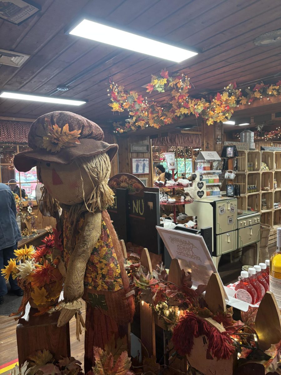 Sweet autumn treats line the shelves at Apple Holler.