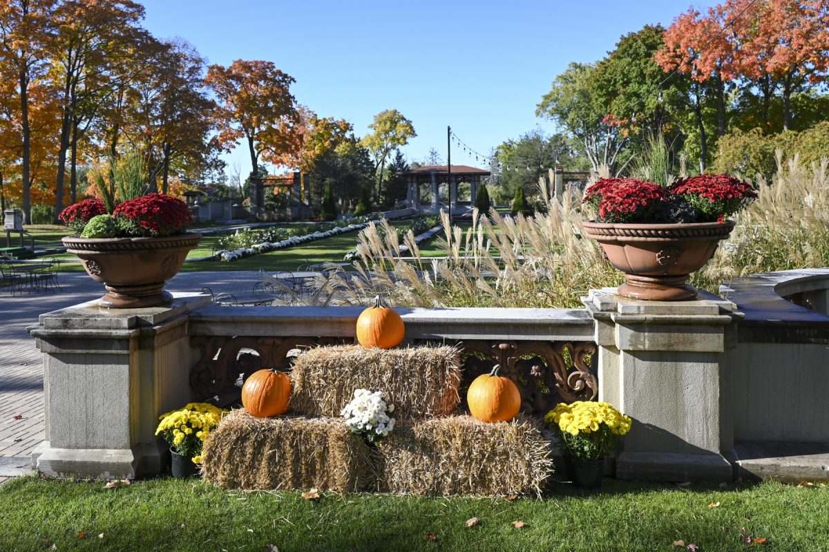Pumpkins sit in the LFA formal gardens during a fall weekend.