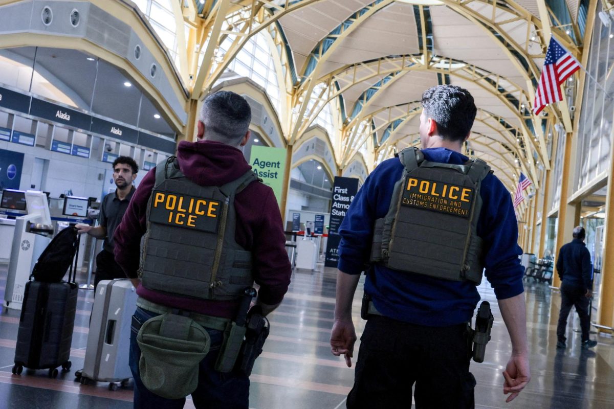 U.S. Immigration and Customs Enforcement (ICE) agents patrol at Washington Reagan National
Airport.