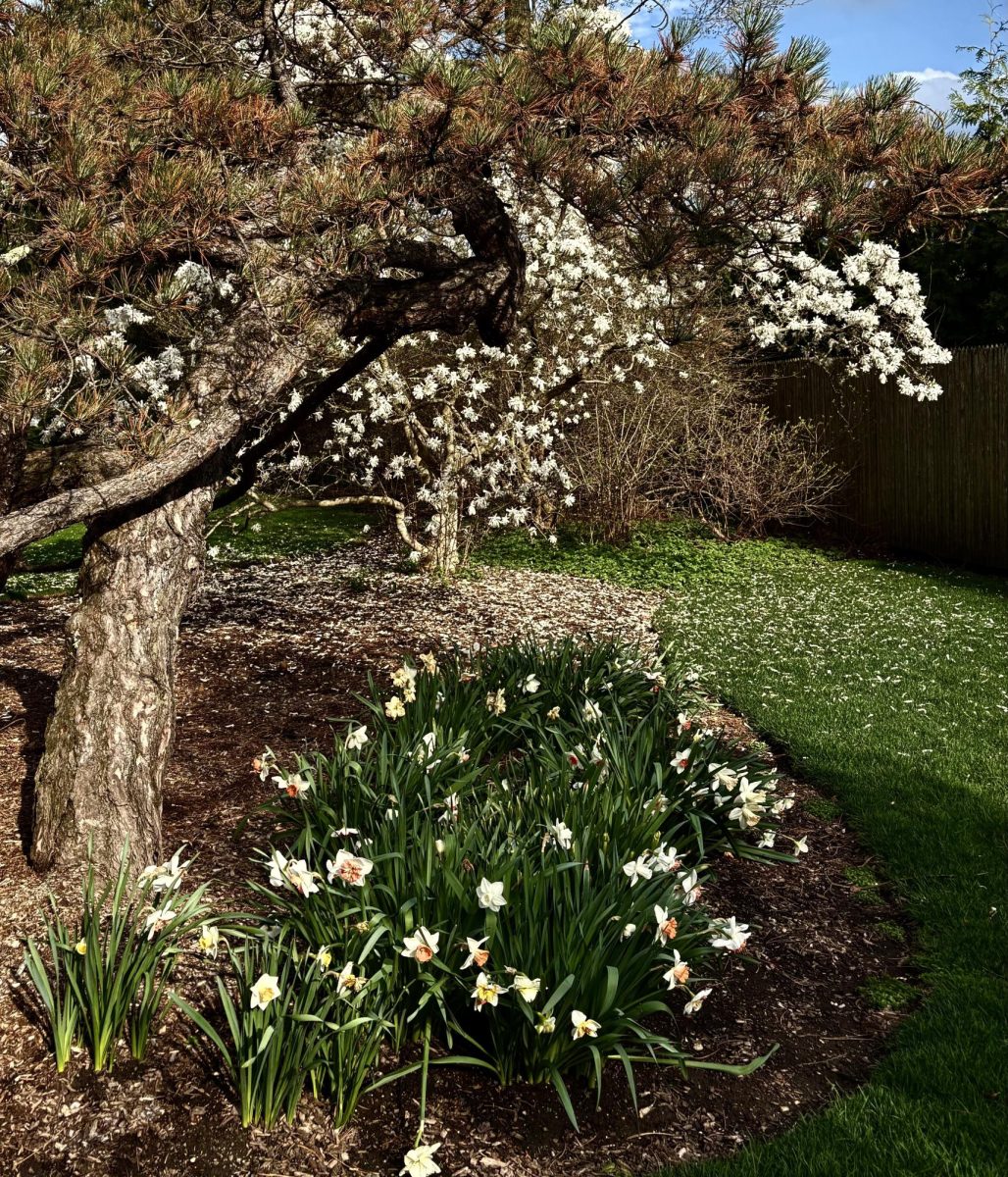 Springtime finally arrives in Lake Forest.