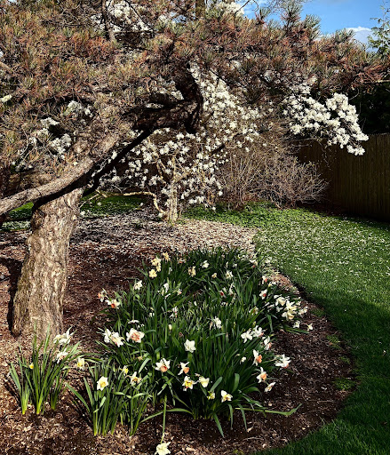 Springtime finally arrives in Lake Forest.